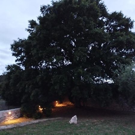 Trulli La Quercia Del Nonno Villa Locorotondo Buitenkant foto