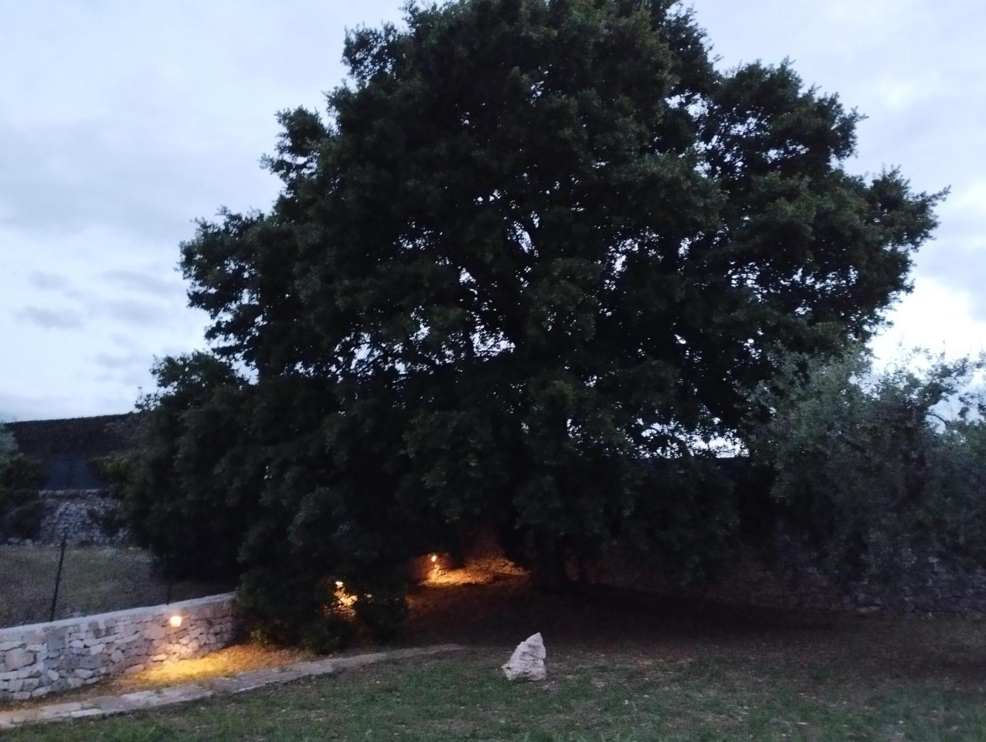 Trulli La Quercia Del Nonno Villa Locorotondo Buitenkant foto
